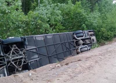 Более десяти человек получили травмы в ДТП с автобусом в Ленинградской области - province.ru - Ленинградская обл.