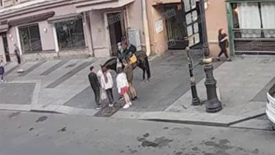 В Петербурге скейтер столкнулся с лошадью и попал в больницу - iz.ru - Санкт-Петербург