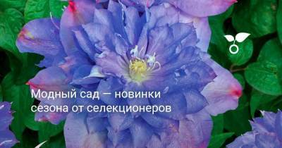 Модный сад — новинки сезона от селекционеров - skuke.net