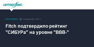 Fitch подтвердило рейтинг "СИБУРа" на уровне "BBB-" - interfax.ru - Москва - Сибур