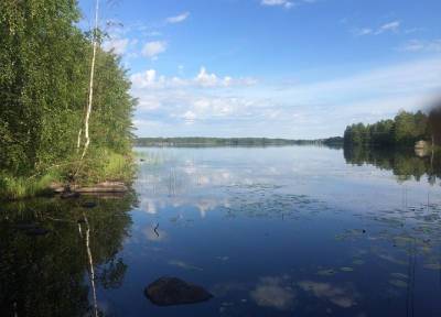 В Карелии семья с двумя детьми утонула в озере во время катания на лодке - province.ru - Медвежьегорск - республика Карелия