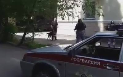 Пьяный мужчина с овчаркой дебоширил на День России в Воронеже - gorcom36.ru - Воронеж
