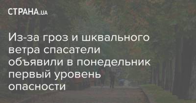 Из-за гроз и шквального ветра спасатели объявили в понедельник первый уровень опасности - strana.ua - Львовская обл.