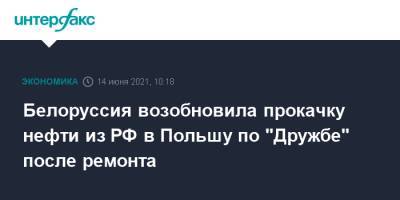 Белоруссия возобновила прокачку нефти из РФ в Польшу по "Дружбе" после ремонта - interfax.ru - Москва - Польша - Мозырь