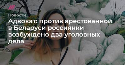 Софья Сапеги - Адвокат: против арестованной в Беларуси россиянки возбуждено два уголовных дела - tvrain.ru - Минск