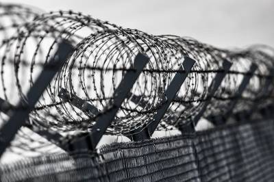Сбежавшего из колонии через сутки задержали в Воронежской области - gorcom36.ru - Воронеж - Воронежская обл.