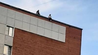 Пензенцы поспорили из-за девочек, сидевших на крыше многоэтажки - penzainform.ru