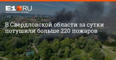 В Свердловской области за сутки потушили больше 220 пожаров - e1.ru - Екатеринбург - Свердловская обл. - Невьянск