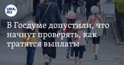 Светлана Бессараб - В Госдуме допустили, что начнут проверять, как тратятся выплаты - ura.news