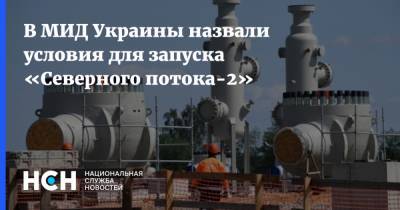 Нестор Шуфрич - Дмитрий Кулеба - В МИД Украины назвали условия для запуска «Северного потока-2» - nsn.fm - Украина - Киев