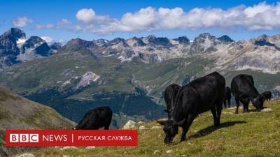 Швейцарцы на референдуме отказались платить за сокращение выбросов СО2 - smartmoney.one - Швейцария - Берн