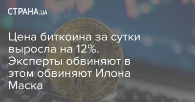 Илон Маск - Цена биткоина за сутки выросла на 12%. Эксперты обвиняют в этом обвиняют Илона Маска - strana.ua