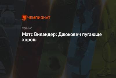 Стефанос Циципас - Джокович Новак - Матс Виландер - Матс Виландер: Джокович пугающе хорош - championat.com