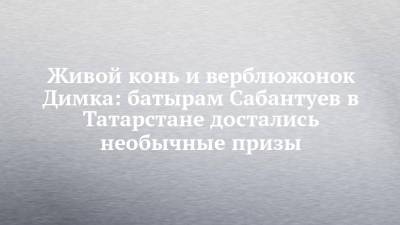 Живой конь и верблюжонок Димка: батырам Сабантуев в Татарстане достались необычные призы - chelny-izvest.ru - респ. Татарстан