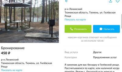 В Гилевской роще Тюмени бронируют беседки за 450 рублей - nashgorod.ru - Тюмень
