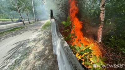 В Екатеринбурге загорелось Михайловское кладбище (ФОТО) - newdaynews.ru - Екатеринбург - Свердловская обл.
