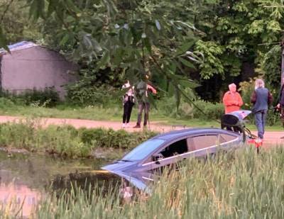Утонувший автомобиль заметили в одном из прудов Петербурга — фото - ivbg.ru - Санкт-Петербург - р-н Выборгский - Петербург