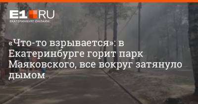 «Что-то взрывается»: в Екатеринбурге горит парк Маяковского, все вокруг затянуло дымом - e1.ru - Екатеринбург - Свердловская обл.