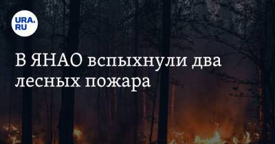 В ЯНАО вспыхнули два лесных пожара - ura.news - окр. Янао