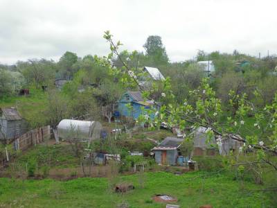 Только треть садоводческих товариществ сохранят в Нижнем Новгороде - vgoroden.ru - Нижний Новгород - Нижний Новгород