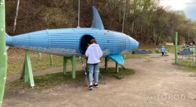 Обнародована дата начала приема заявок по выплатам на детей-школьников - pg21.ru - респ. Чувашия