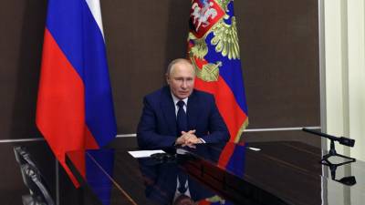 Владимир Путин - Путин рассказал о поимке в САР бандитов из подконтрольной США зоны - russian.rt.com - Сирия