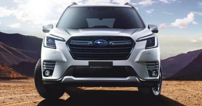 Новое лицо для Subaru Forester. Популярный внедорожник представлен в обновленном виде - focus.ua