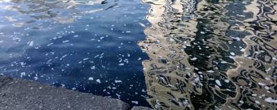 В реке Зай в РТ выявлено экстремально высокое содержание азота нитритного - runews24.ru - Лениногорск