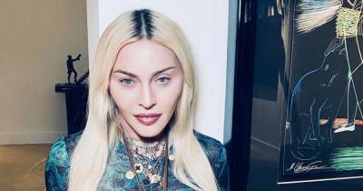 В одном белье: 62-летняя Мадонна сразила фанатов откровенными фото - skuke.net