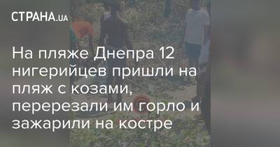 На пляже Днепра 12 нигерийцев пришли на пляж с козами, перерезали им горло и зажарили на костре - strana.ua - Нигерия - Днепр