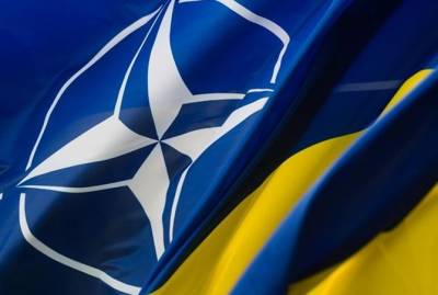 Украина станет членом НАТО, пройдя процедуру ПДЧ, - коммюнике саммита Альянса - kp.ua - Грузия