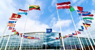 В НАТО пообещали, что Украина получит членство через ПДЧ - focus.ua - Украина - Грузия