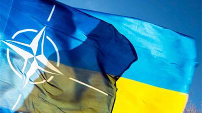В НАТО объявили, что Украина получит членство через ПДЧ - bin.ua - Грузия
