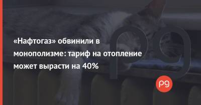 Владимир Зеленский - «Нафтогаз» обвинили в монополизме: тариф на отопление может вырасти на 40% - thepage.ua
