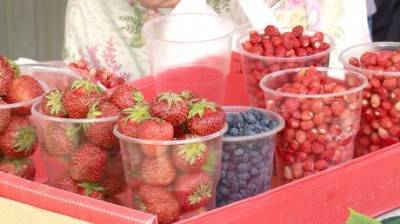 В Пензе стакан лесных ягод продают за 200 рублей, а садовых - за 150 - penzainform.ru - Пенза
