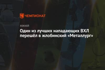 Один из лучших нападающих ВХЛ перешёл в жлобинский «Металлург» - championat.com - Югра