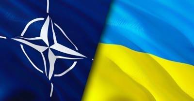 НАТО готово дать членство Украине через ПДЧ - delo.ua - Киев - Брюссель