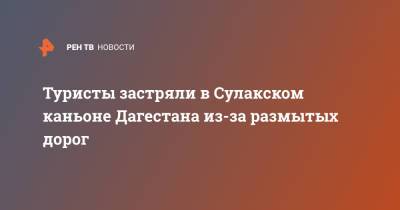 Туристы застряли в Сулакском каньоне Дагестана из-за размытых дорог - ren.tv - Россия - респ. Дагестан - Астрахань