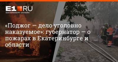 Евгений Куйвашев - «Поджог — дело уголовно наказуемое»: губернатор — о пожарах в Екатеринбурге и области - e1.ru - Екатеринбург - Свердловская обл.