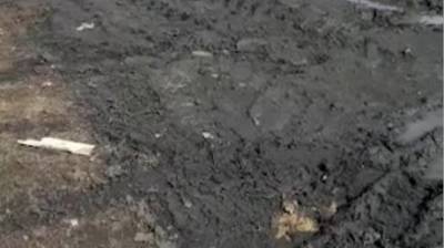 В Нижнем Ломове дорога к кладбищу превращается в кашу даже летом - penzainform.ru