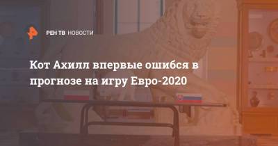Кот Ахилл впервые ошибся в прогнозе на игру Евро-2020 - ren.tv - Санкт-Петербург - Польша - Словакия