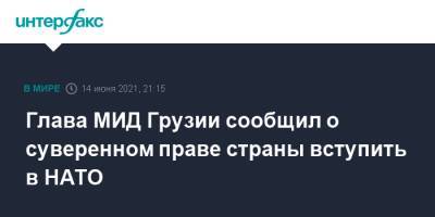 Давид Залкалиани - Глава МИД Грузии заявил, что вступление страны в НАТО зависит от блока - interfax.ru - Москва - Грузия - г. Бухарест