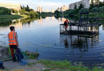 Петербуржцы и волонтёры спасли десяток утят, попавших в коллектор - online47.ru - Санкт-Петербург - Выборг