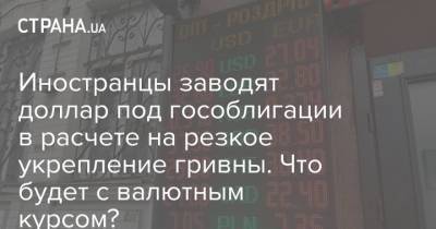 Иностранцы заводят доллар под гособлигации в расчете на резкое укрепление гривны. Что будет с валютным курсом? - strana.ua - Украина