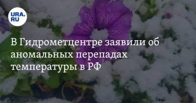 Роман Вильфанд - В Гидрометцентре заявили об аномальных перепадах температуры в РФ - ura.news - Салехард - окр. Янао