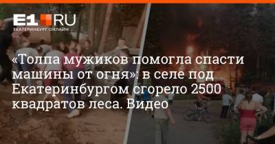 «Толпа мужиков помогла спасти машины от огня»: в селе под Екатеринбургом сгорело 2500 квадратов леса. Видео - e1.ru - Екатеринбург - Свердловская обл.