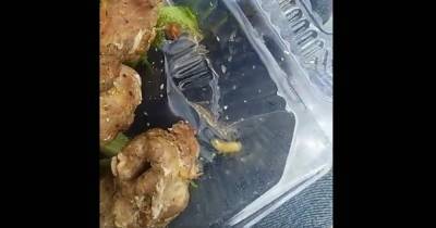 "Ползающий гарнир": мясо со слизняком подали клиенту в ресторане на пляже Одессы (видео) - focus.ua - Одесса
