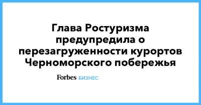 Зарина Догузова - Глава Ростуризма предупредила о перезагруженности курортов Черноморского побережья - forbes.ru - Крым - Черное Море