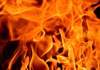 На пожаре в Клепиковском районе погиб 83-летний мужчина - ya62.ru - Рязанская обл. - район Клепиковский