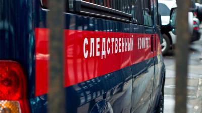 Спасенный на озере Ханка ребенок пришел в себя - vesti.ru - Приморье край - Владивосток